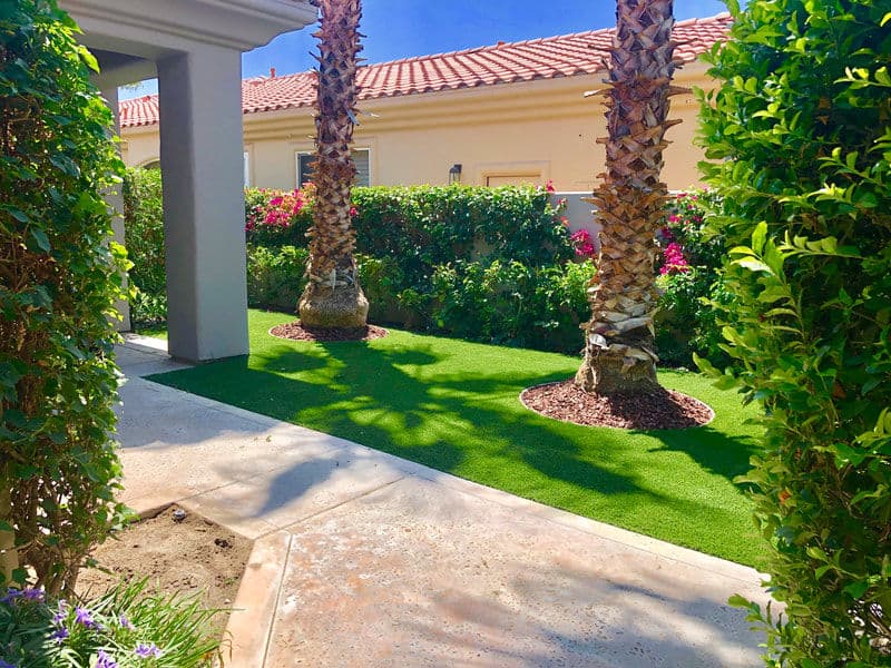 Lush garden pathway with palm trees and vibrant flowers in a sunny setting.
