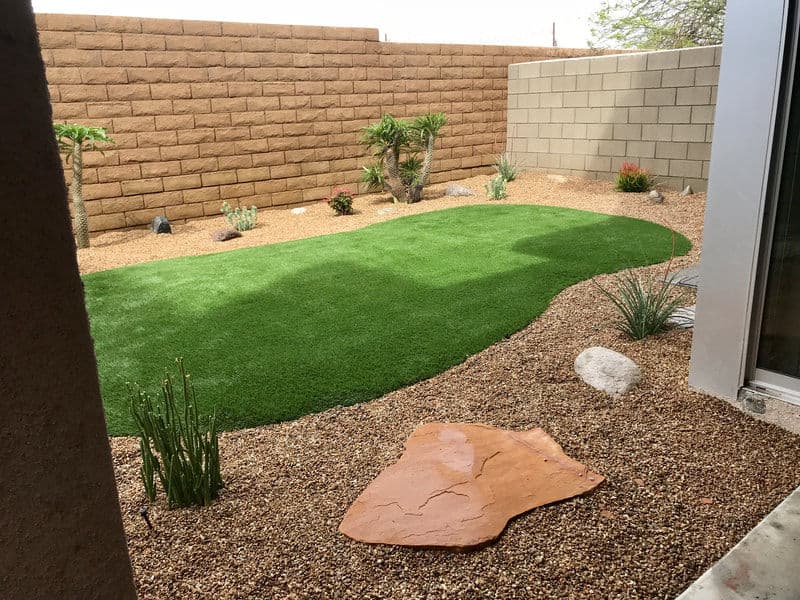 Lush artificial grass yard with rocks and desert plants in a sunlit backyard setting.