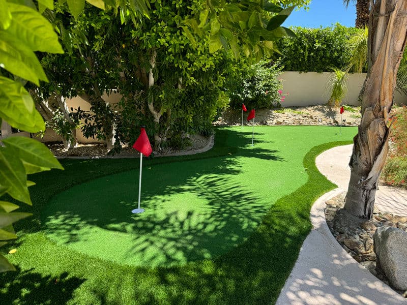 Lush green backyard putting green with flags and palm trees under clear blue sky.