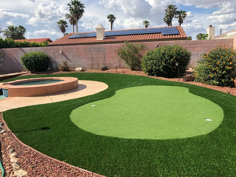 Artificial turf putting green and spa in a landscaped backyard with palm trees.