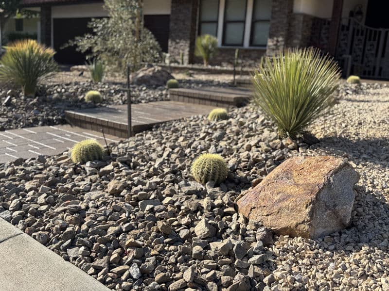 Desert landscape featuring cacti, decorative rocks, and low-maintenance gravel garden.