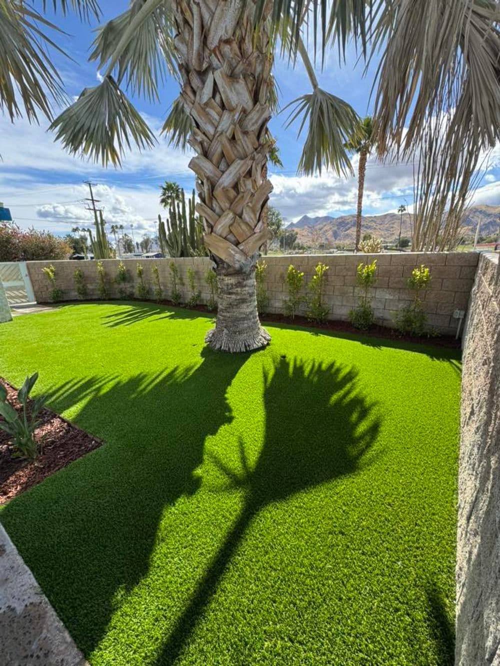 Gallery photos for Stunning Backyard Transformation in Palm Springs: Image #1